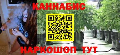 мет Бийск