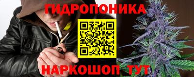 Альфа ПВП Беслан