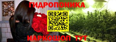 Альфа ПВП Беслан