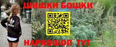 мет Бийск