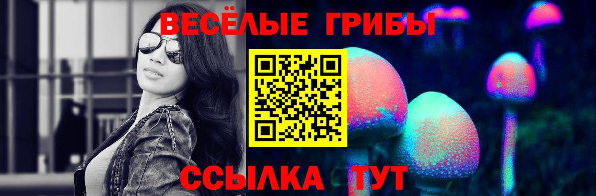Камень-на-Оби  Галлюциногенные грибы Psilocybe  Вход с VPN  Галлюциногенные грибы Magic Shrooms 